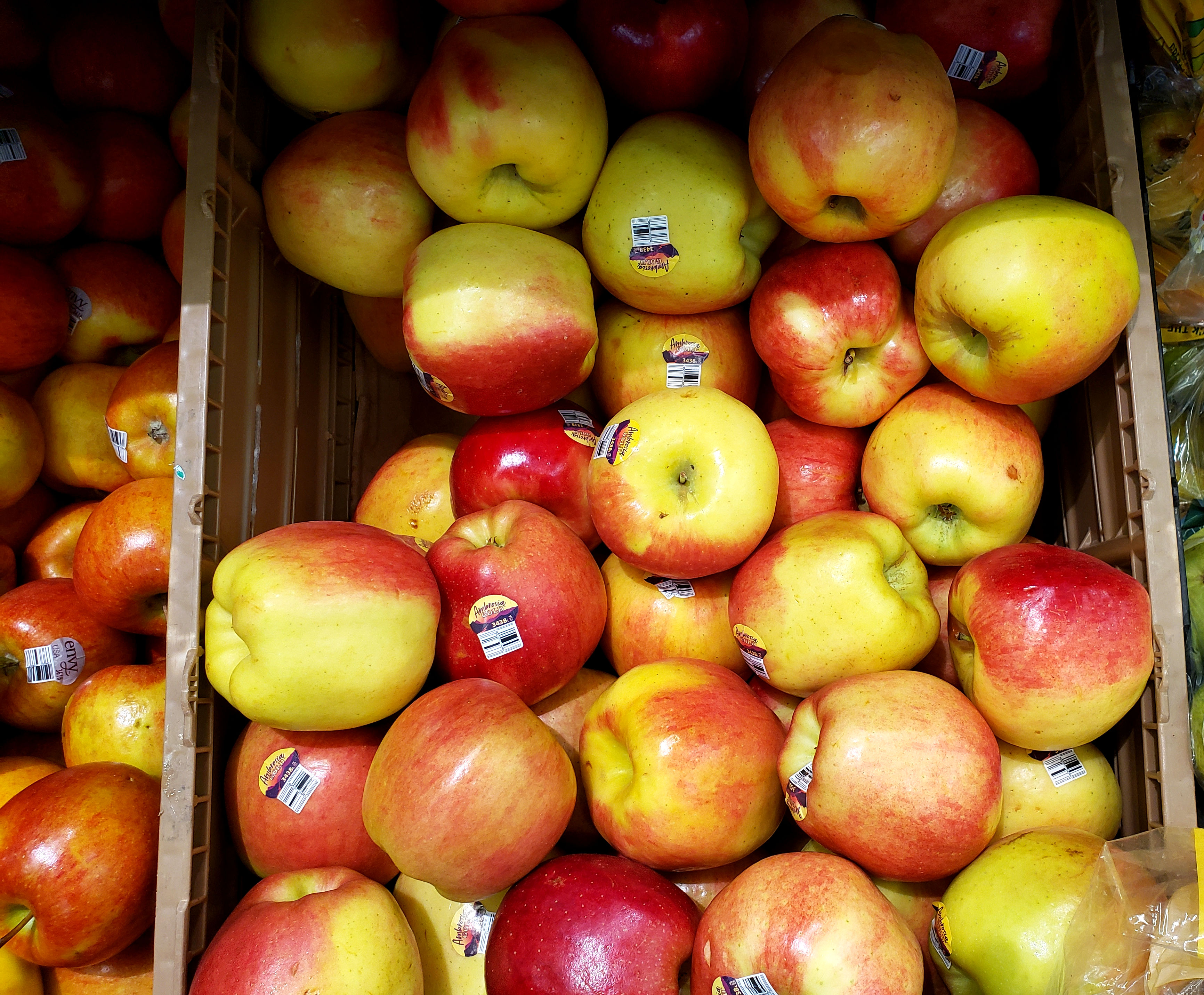Apples