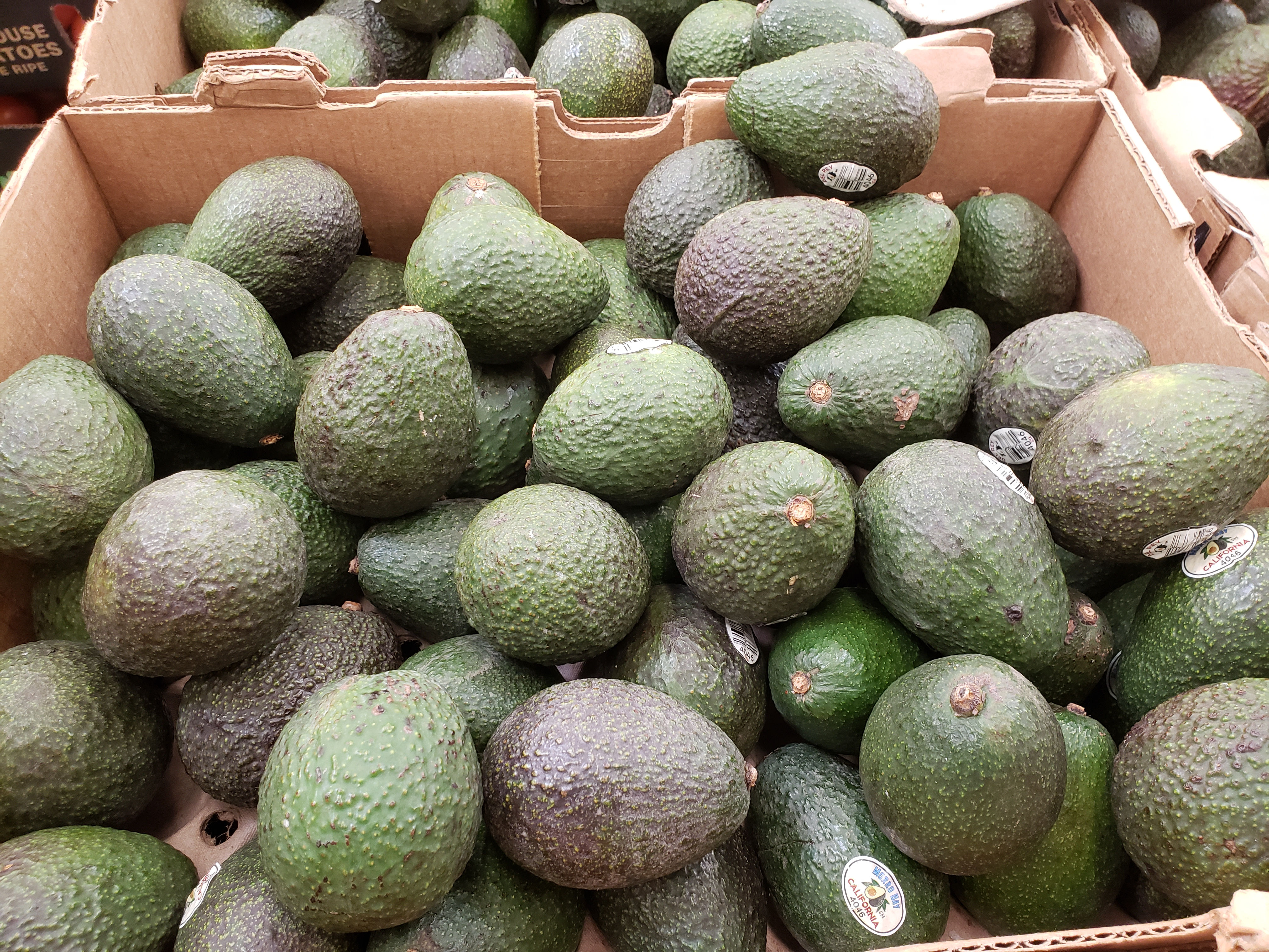 Avocados