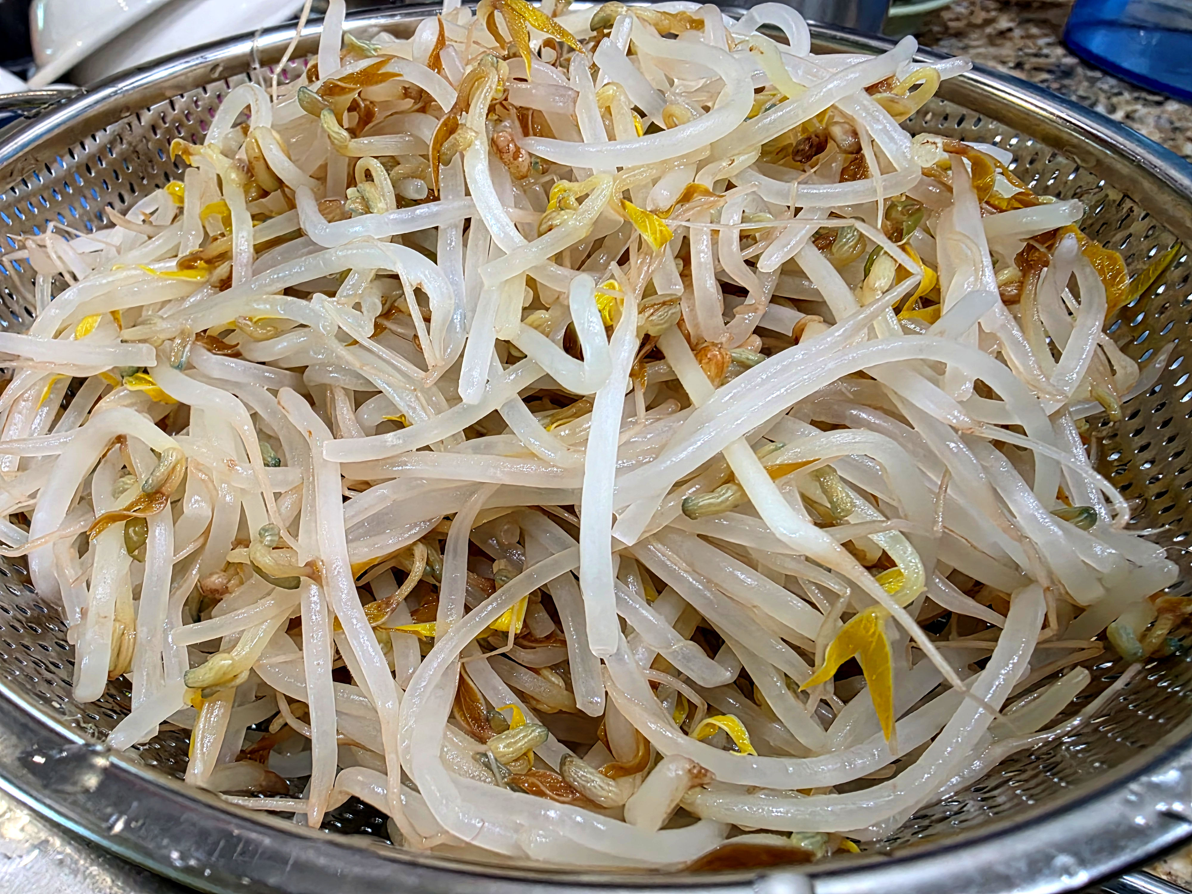 mung bean sprouts