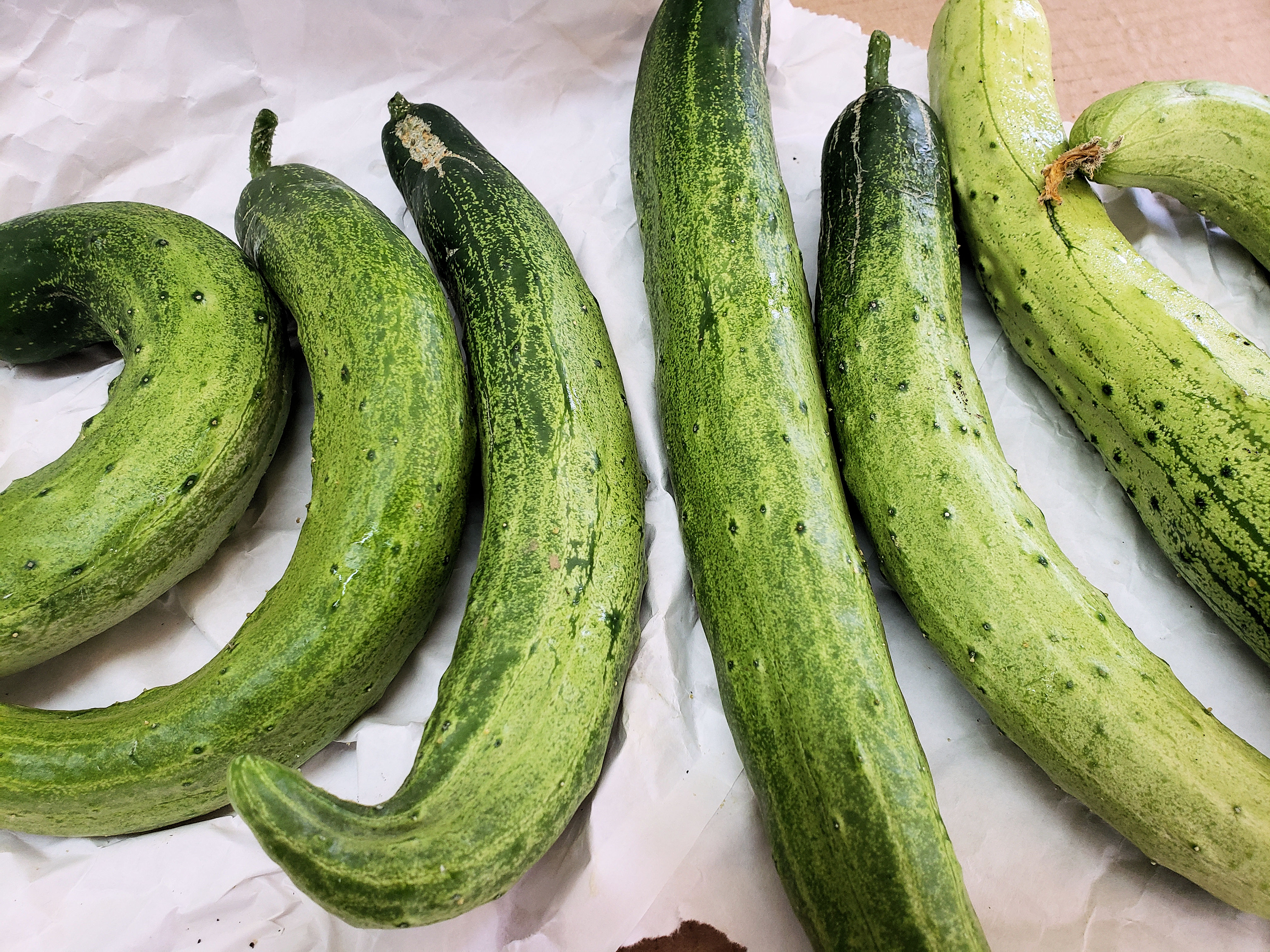 cucumbers