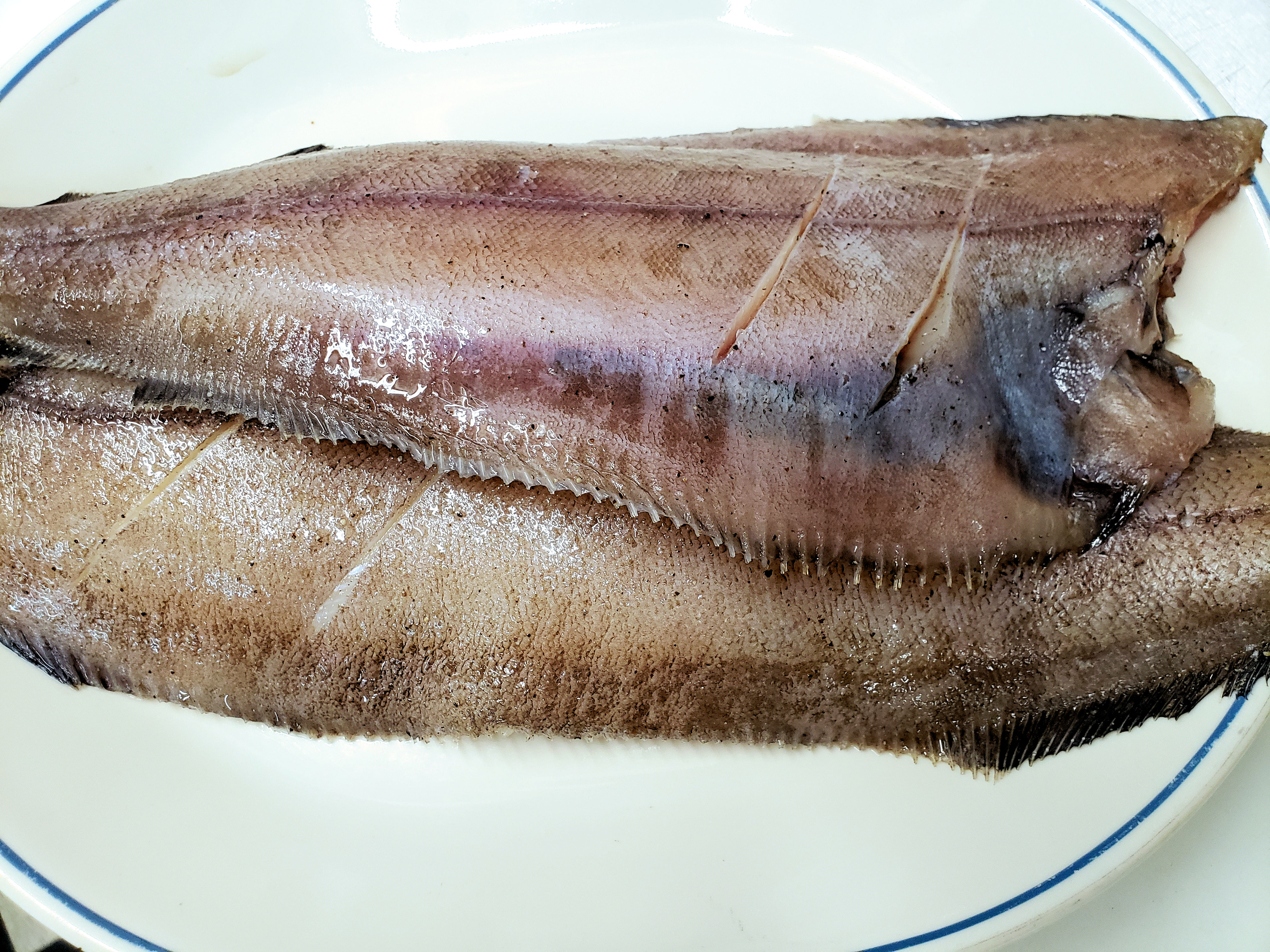 seasoned gajaimi-gui