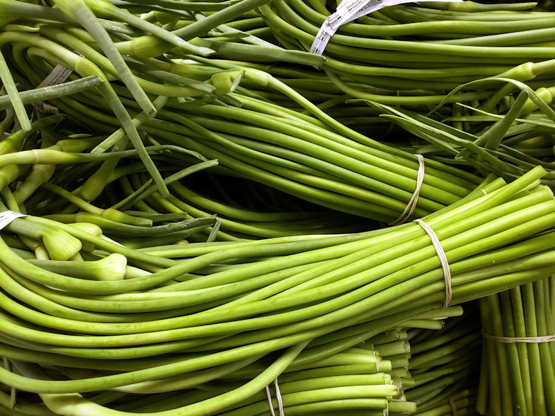 garlic stems