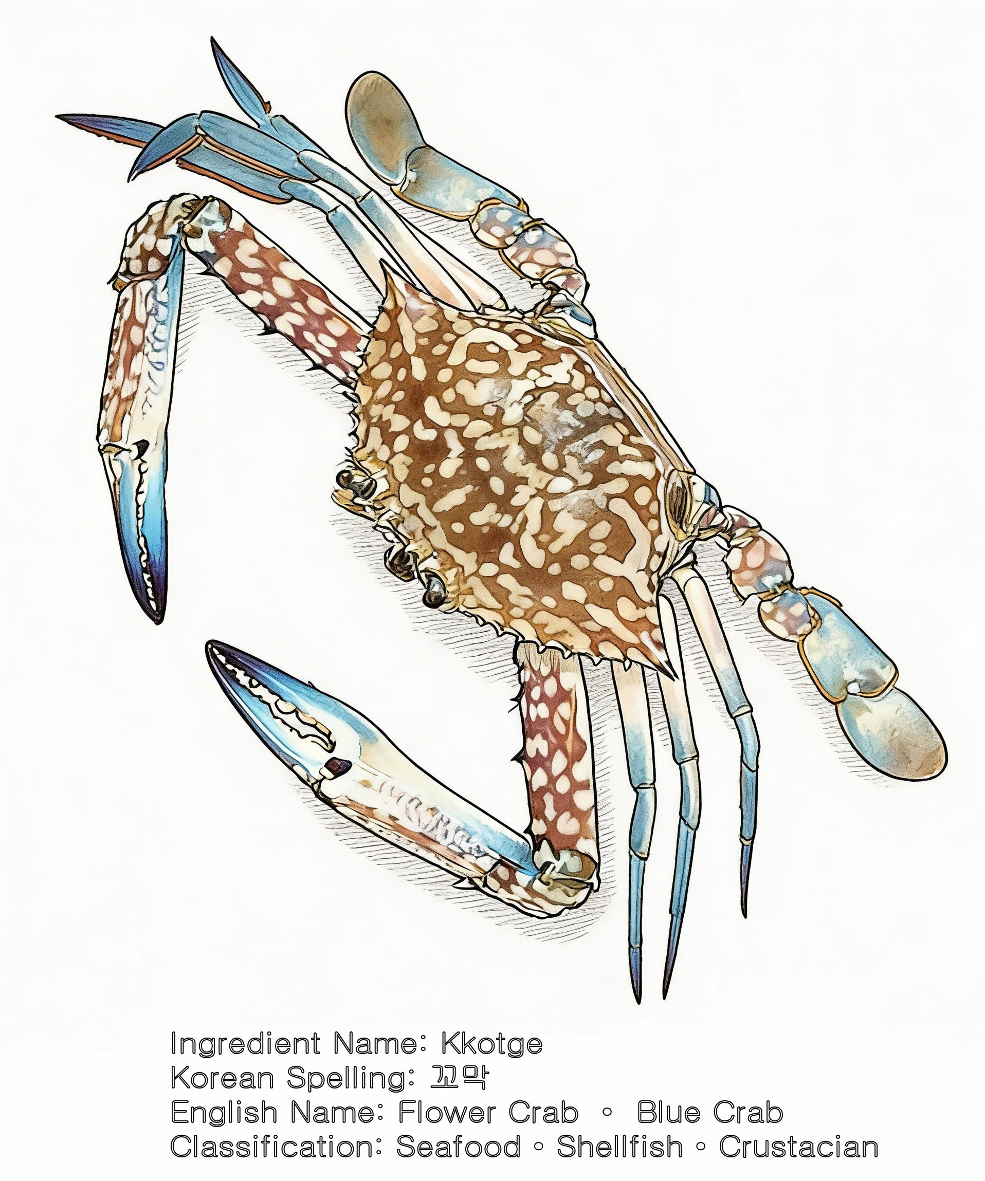 Kkotge ingredient card