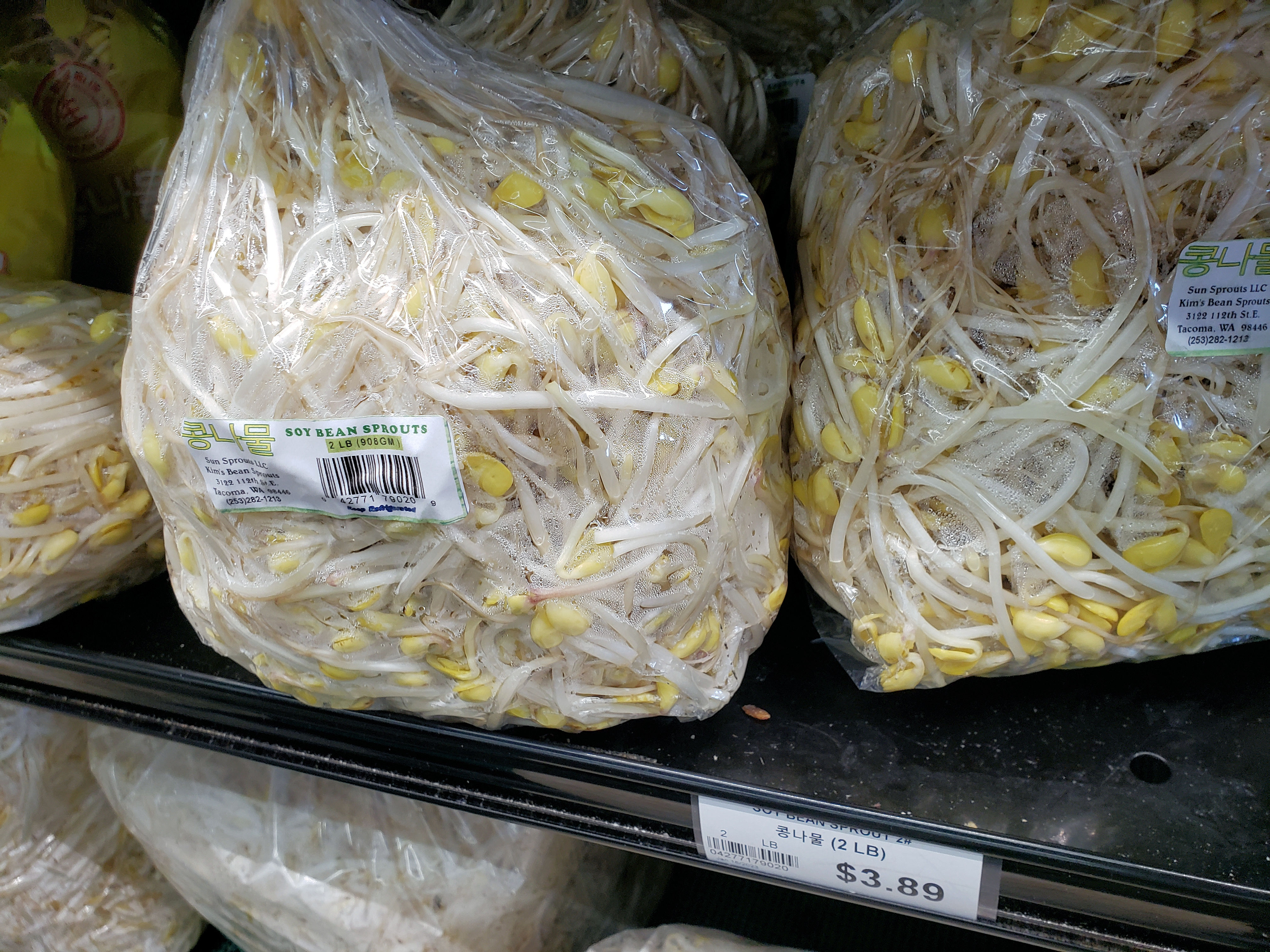 soybean sprouts