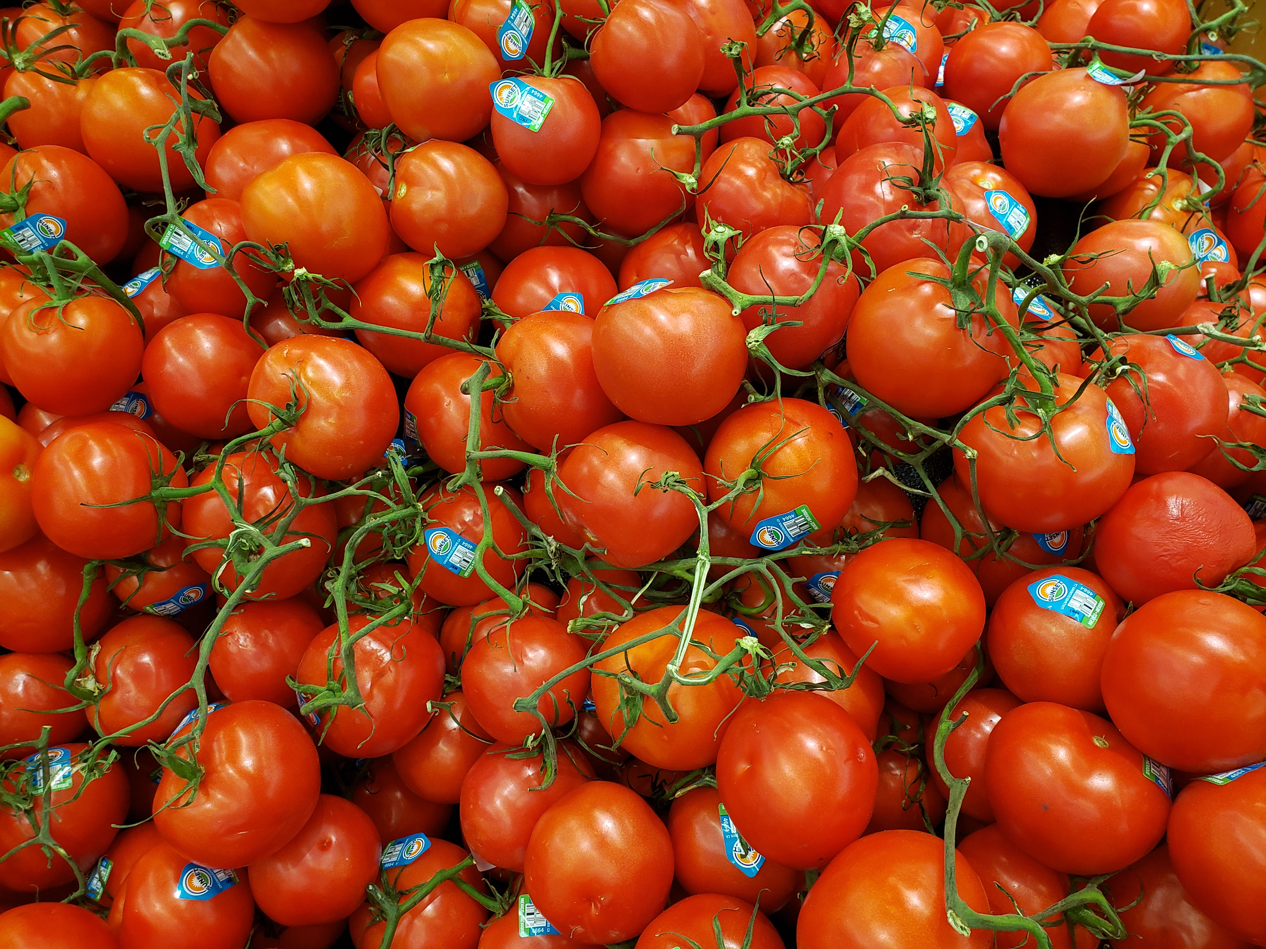 Tomatoes
